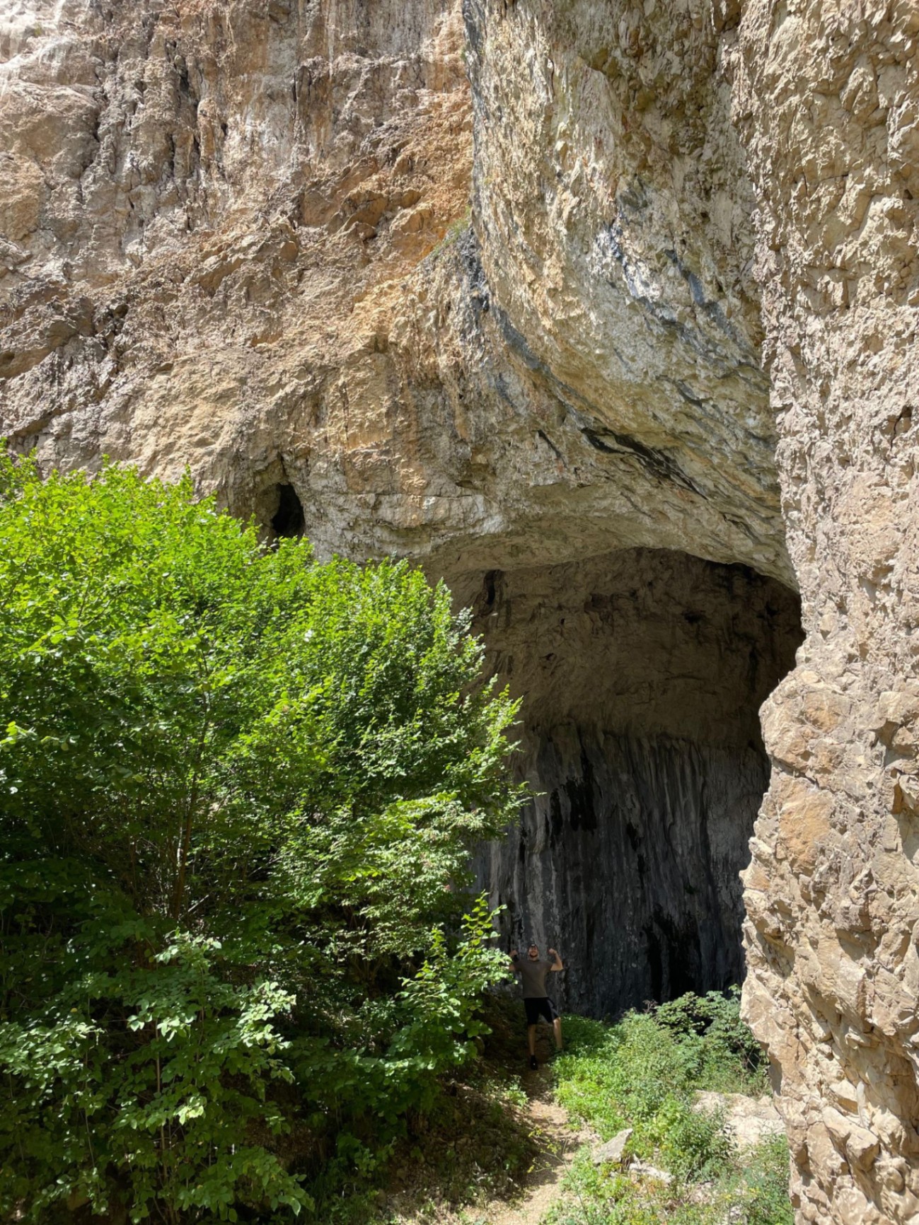 Pogled iz pećine