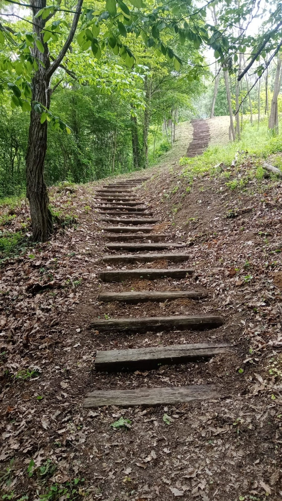 Drvene stepenice ka pećini